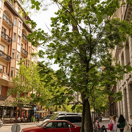 2 Between Of Chain Bridge, Cathedral, Parlament,castle Area Budapeszt
